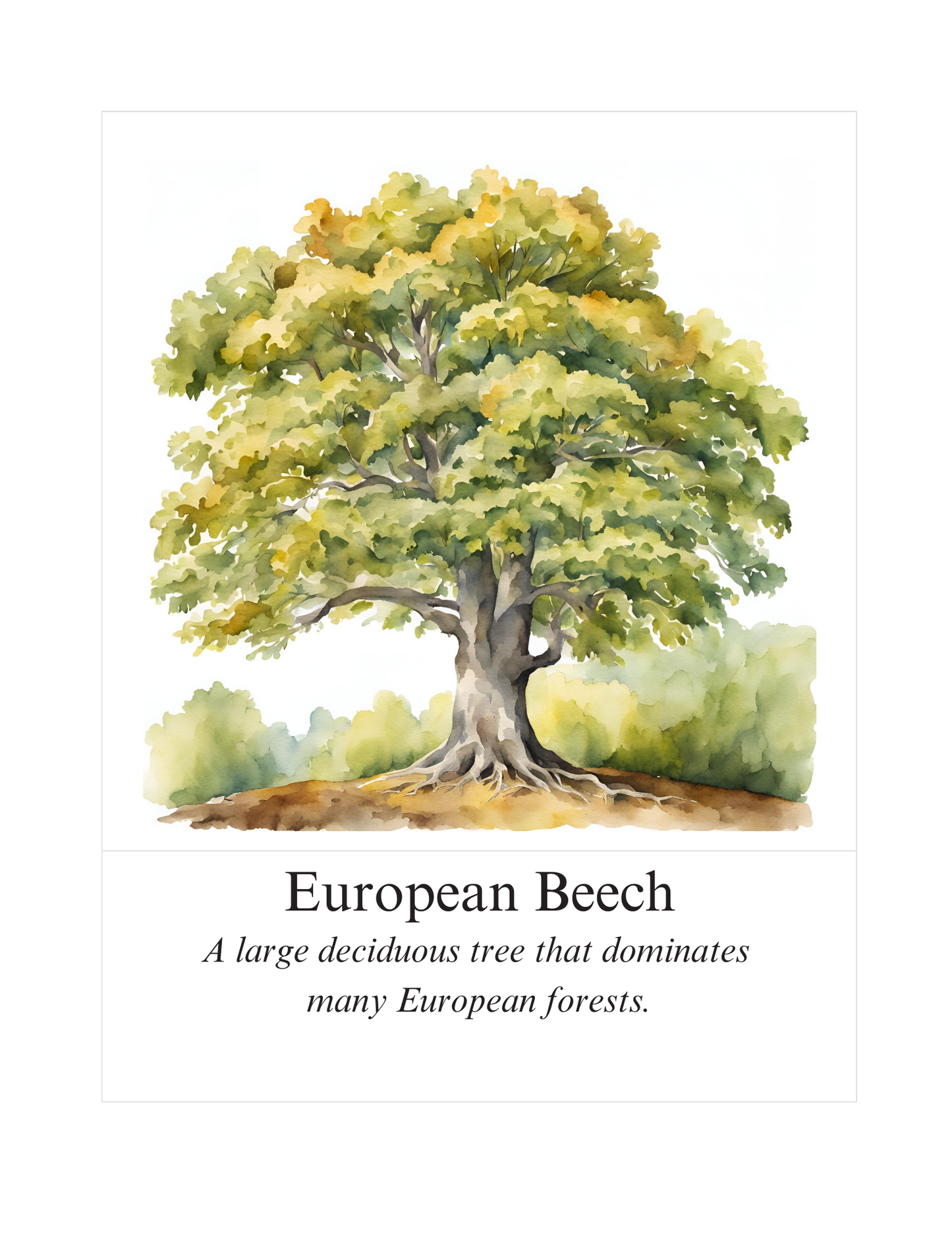 Europe Montessori-Inspired Three-Part Cards | Continent Unit Study | Digital Download